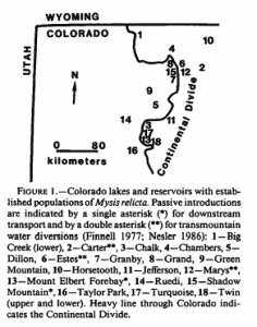 1989 Colorado Mysis Report