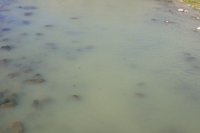 Muddy Water in Wyoming